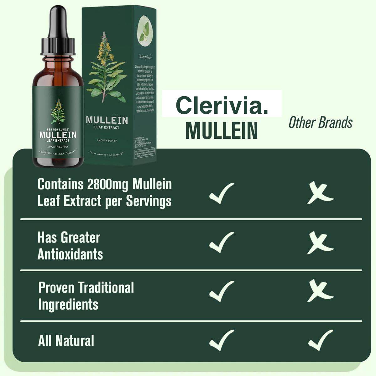 Clerivia. Mullein Leaf Extract